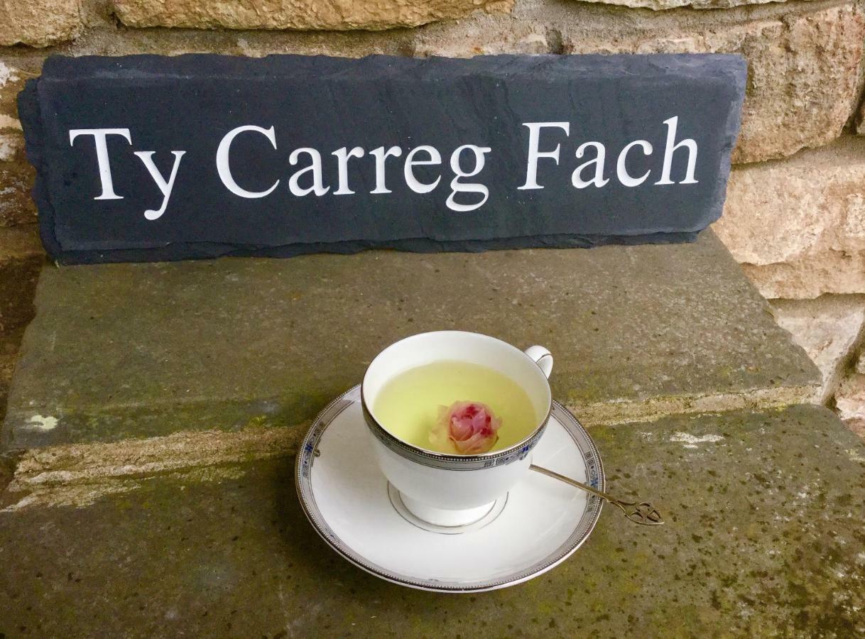 Ty Carreg Fach Staycation Cottage Cardiff Exteriér fotografie