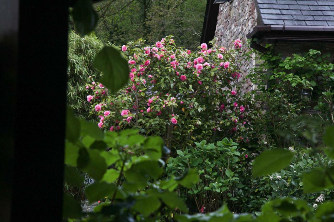 Ty Carreg Fach Staycation Cottage Cardiff Exteriér fotografie
